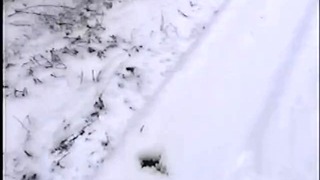 Shayna urinând urinând în zăpadă