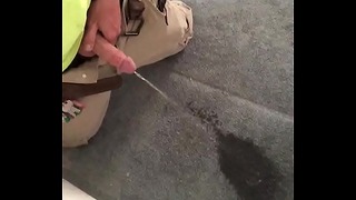 Desperate Pee On Carpet