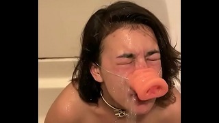Pee Pig Bailey Wilder Swallows