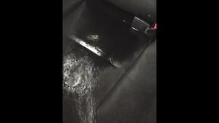 Car Pee #8 Peeing Car