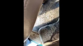 I Pissed in Somebody S Truck in the Parking Lot. He Or She Will Have a Fine Amaze