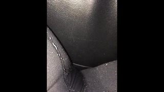 Small Pee in Car Pissing