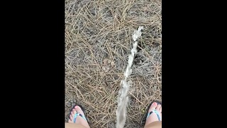 Country Babe Pees Off Hill on Public Hiking Trail
