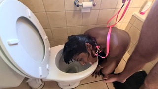 Human Toilet Desi Hooker Get Pissed on and Take Her Head Flush Follow by Sacing Dick.
