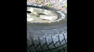 Peeing on My Neighbors Van