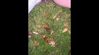 Pissing at Grass for New Years