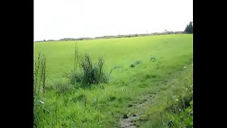 Field Piss Professional