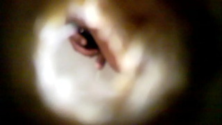 Verga De Chacal Orinando Orinando Chacal Spy Spy