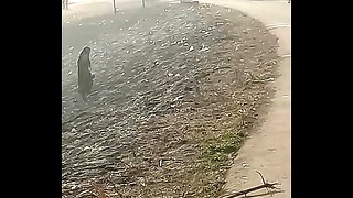 Surat Aunty Pee Outdoor