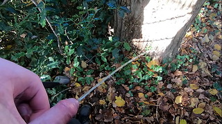 Great Big Pee On Tree