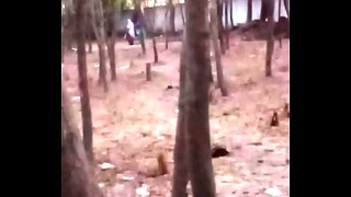 Gujarati Majuran Bai Pee