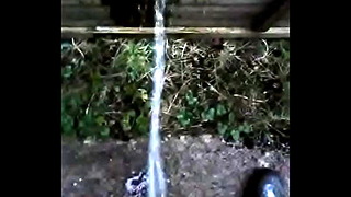 Peeing Against A Fence