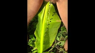 Attention Whore Babe Pissing In Jungle At Banana Tree: POV Tik Tok