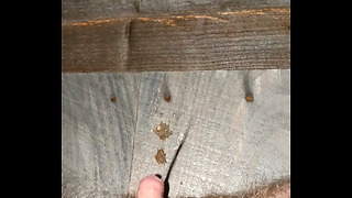 Ftm Peeing Off The Porch