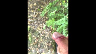 Outdoor Pissing
