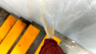 Piss In Car Backyard Stairs