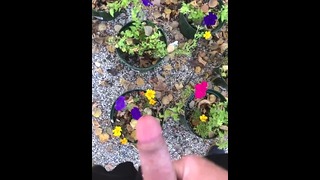 POV Kockázatos kültéri pisizés és permetezés összeállítás minden cserepes virágunkon ma a kempingben