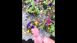 POV Risky Outdoor Pissing & Spraying Compilation All Over Our Potted Flowers At The Campsite Today - Pisshamster.com