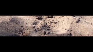 Turistická sprievodkyňa uprostred púšte vonku je sledovaná, keď ciká na piesok vonku v otvorenej vagíne Pt 2