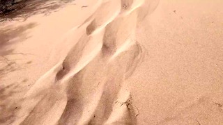 그녀가 외부 접근 음부에 모래 위에서 오줌을 누는 동안 사막 야외 한가운데의 투어 가이드가 지켜졌습니다.