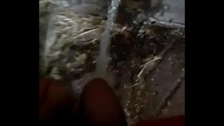 Walking Into A Building For A Piss