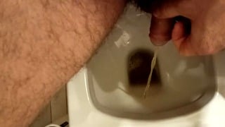 Calm Penis And Morning Urine In The Toilet.