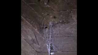 Gazebo Piss 《4K》