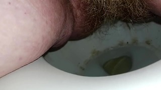 Hairy Pussy Toilet Piss 3/14/2023