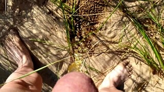 Husband Had To Pee On The Beach