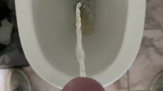 Man Pissande På Kontoret Toalett, Cock View I 4K