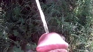 Outdoor Pissing