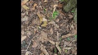 Outdoor public piss at the golf course