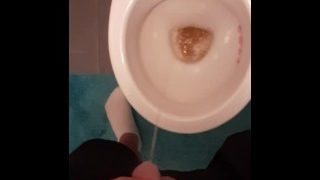 Pee In Job Toilet