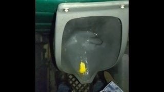 Peeing Inside Construction Toilet With Door Unlocked