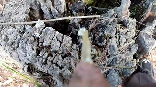 Peeing Outdoors In The Forest