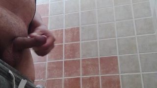 Pissing na záchode čerpacej stanice