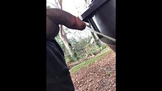Pissing In My Neighbors Backyard