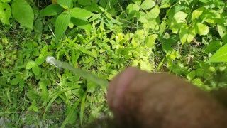 pissing in the great outdoors pov