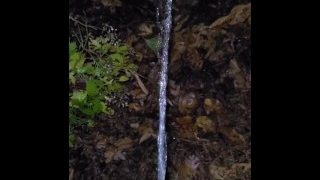 Pissing In The Leaves 4K