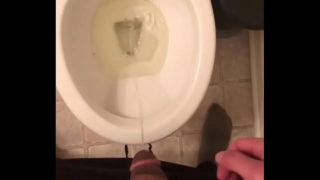 Pissing I Toalett Efter Frustrerande Dag