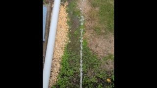 Pissing Off The Deck