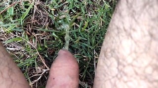 Pissing On Grass Outdoors Compilation