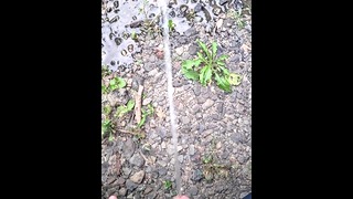 Pissing On The Path 4K