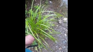 Pissing outdoors
