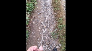 POV Daring Guy Pull Out Hänen kukkonsa Ja Takes A Long Pees Päälle Julkinen Trail