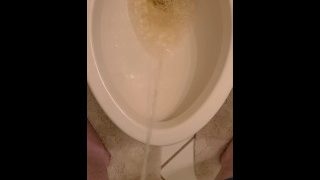 Toilet Piss 1