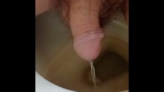 Toilet Pissing
