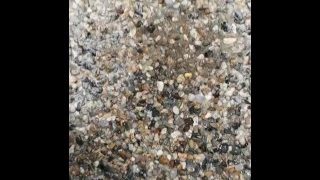 Wasn’t Going To Make It Home – Public Outdoor Piss