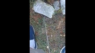 Backyard pissing full video