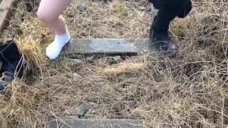 Bahn Frei, Auf Die Schiene Gepisst